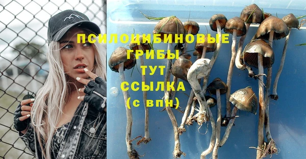 дурь Протвино