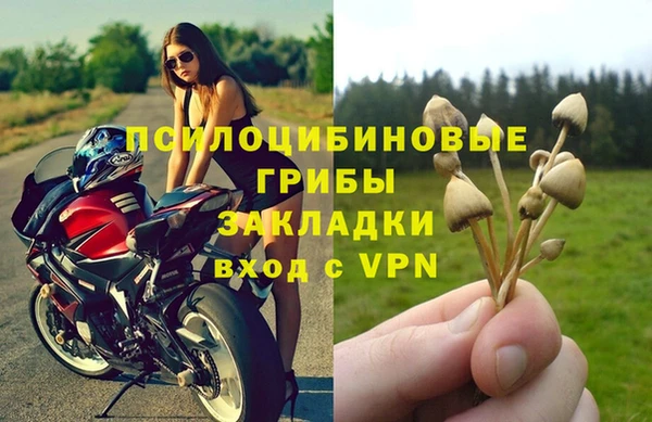 тгк Балахна