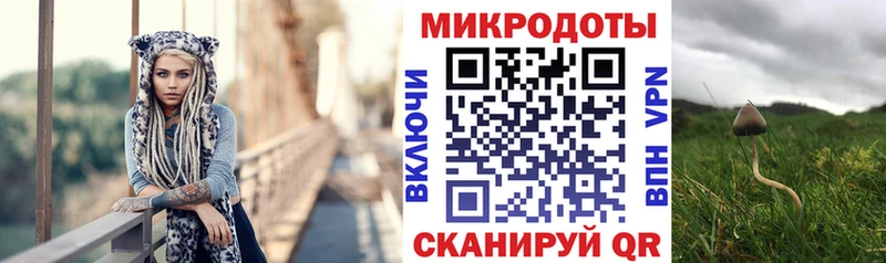 как найти закладки  Суворов  Псилоцибиновые грибы мухоморы 
